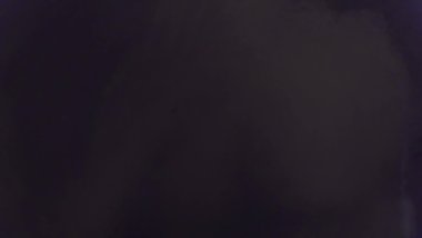 ALGUIEN LA RECONOCE?