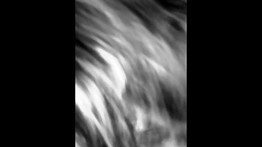 Sexy drunk girl blows me